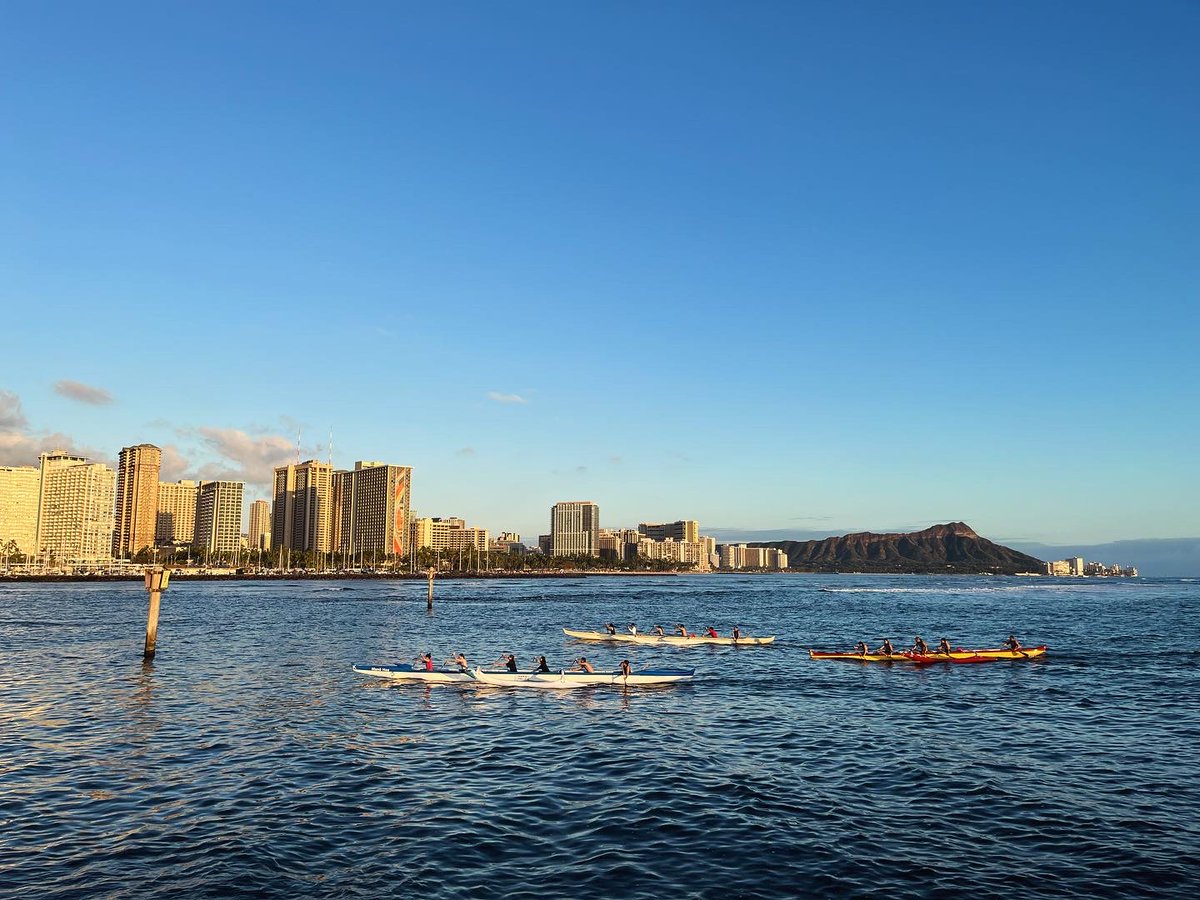 Tianlu Wang tweet media