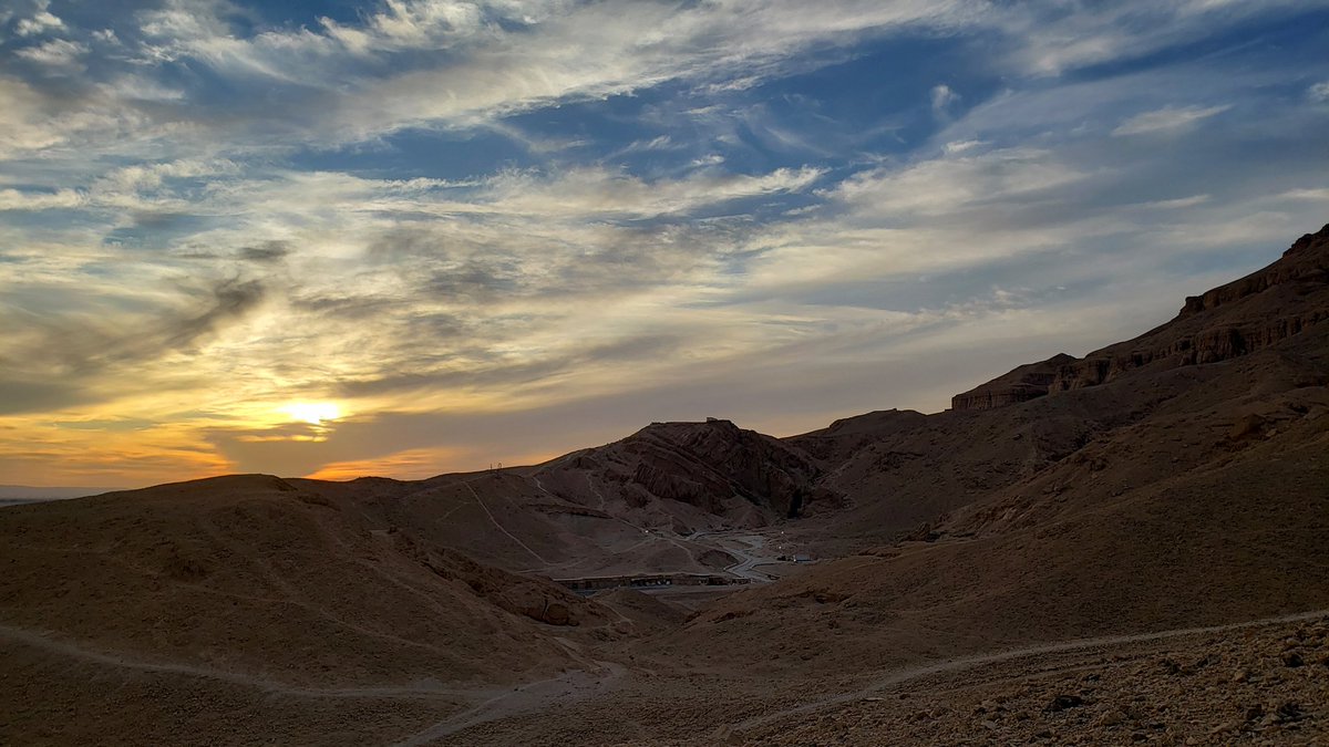 Dr Silvia Zago tweet media