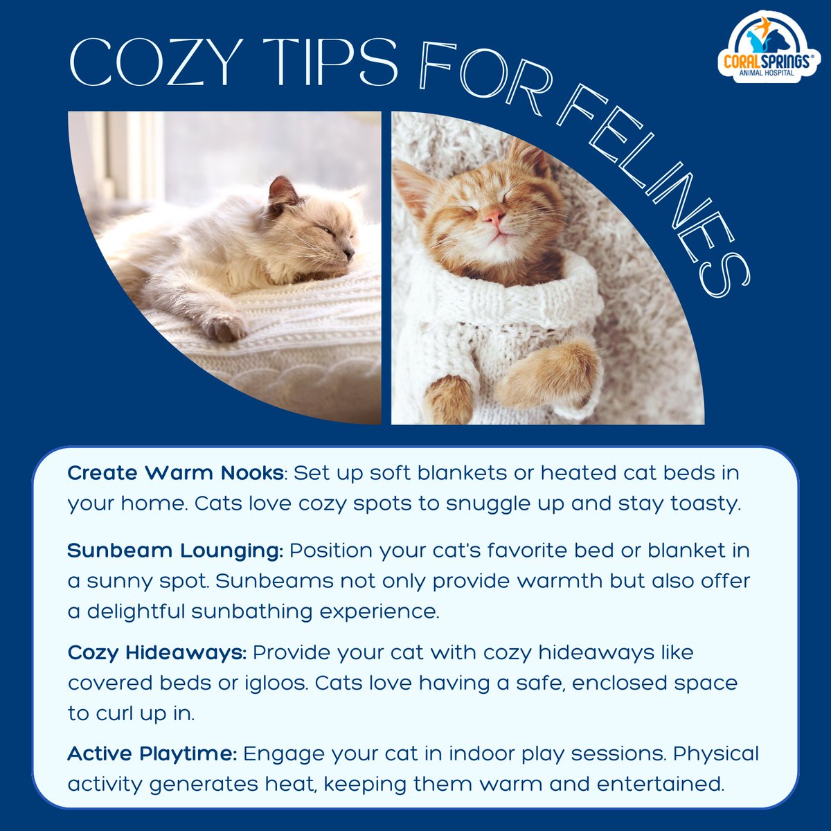 CSAnimalHosp's tweet image. Cats love to be warm and snug during the chilly season! Here are four tips to help keep your feline companions cozy. ❄️😺 #CozyTips