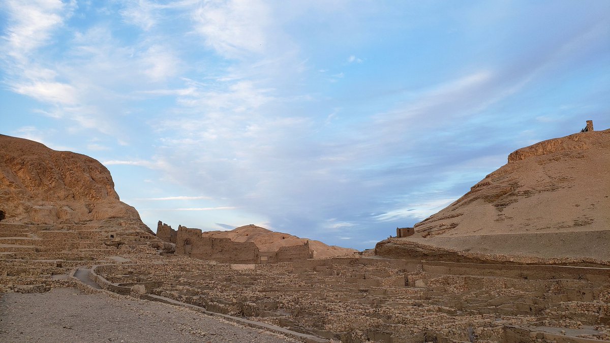 Dr Silvia Zago tweet media