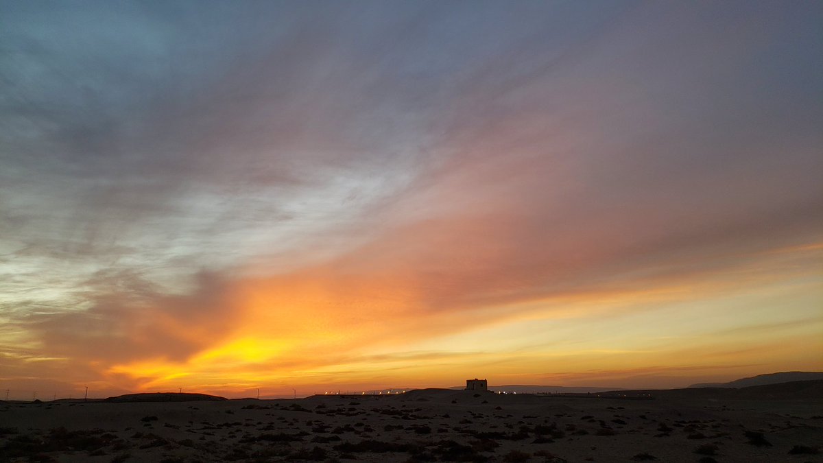 Dr Silvia Zago tweet media