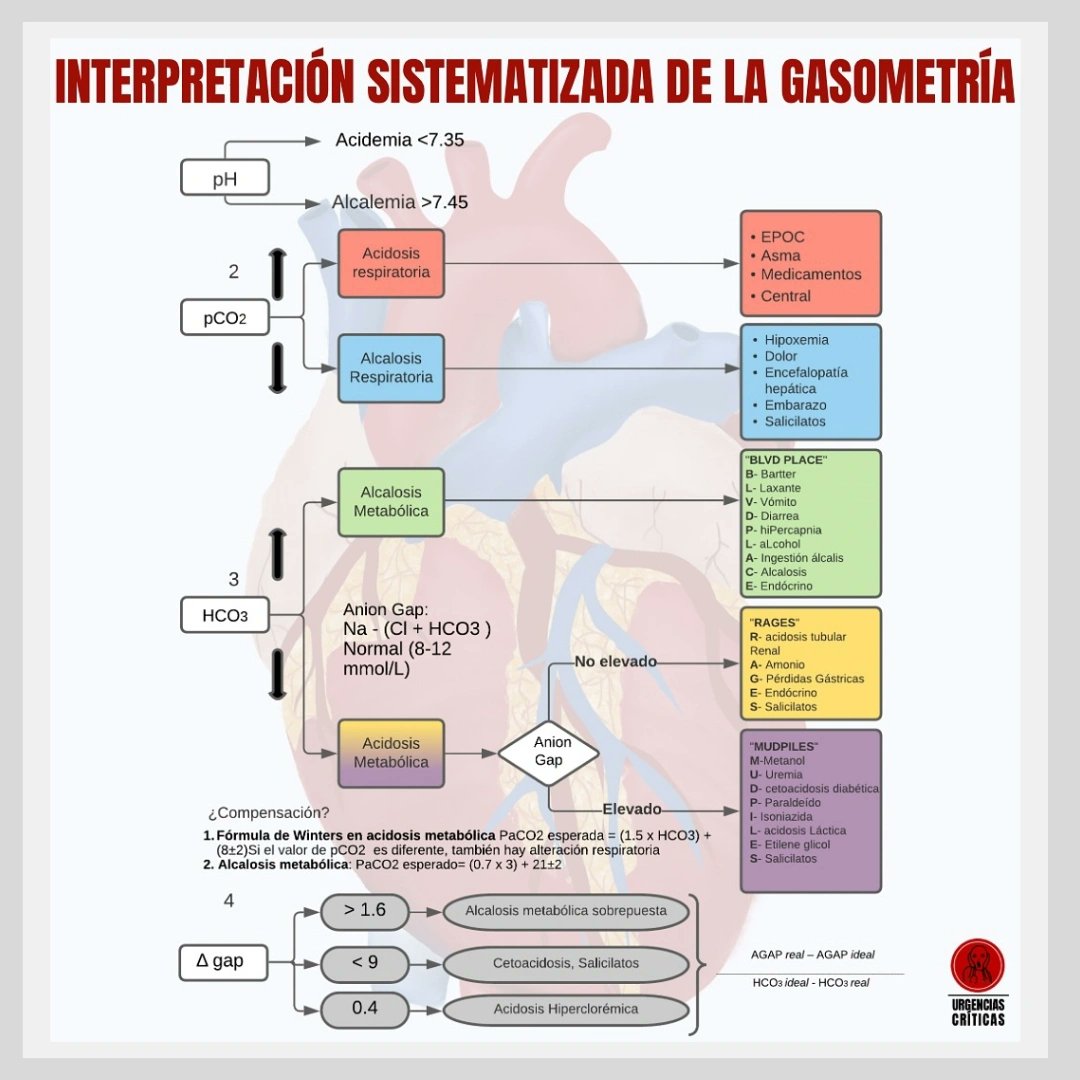 Formacion Sanitaria (@formsanitaria) on Twitter photo La interpretación sistematizada de la #gasometríaarterial implica evaluar los valores de pH, PaO2, PaCO2, y la saturación de oxígeno
.
Infografía <a href="/UrgCrit/">Urgencias Críticas</a>
.
.
#formacionsanitaria #cursosonline La interpretación sistematizada de la #gasometríaarterial implica evaluar los valores de pH, PaO2, PaCO2, y la saturación de oxígeno
.
Infografía <a href="/UrgCrit/">Urgencias Críticas</a>
.
.
#formacionsanitaria #cursosonline
