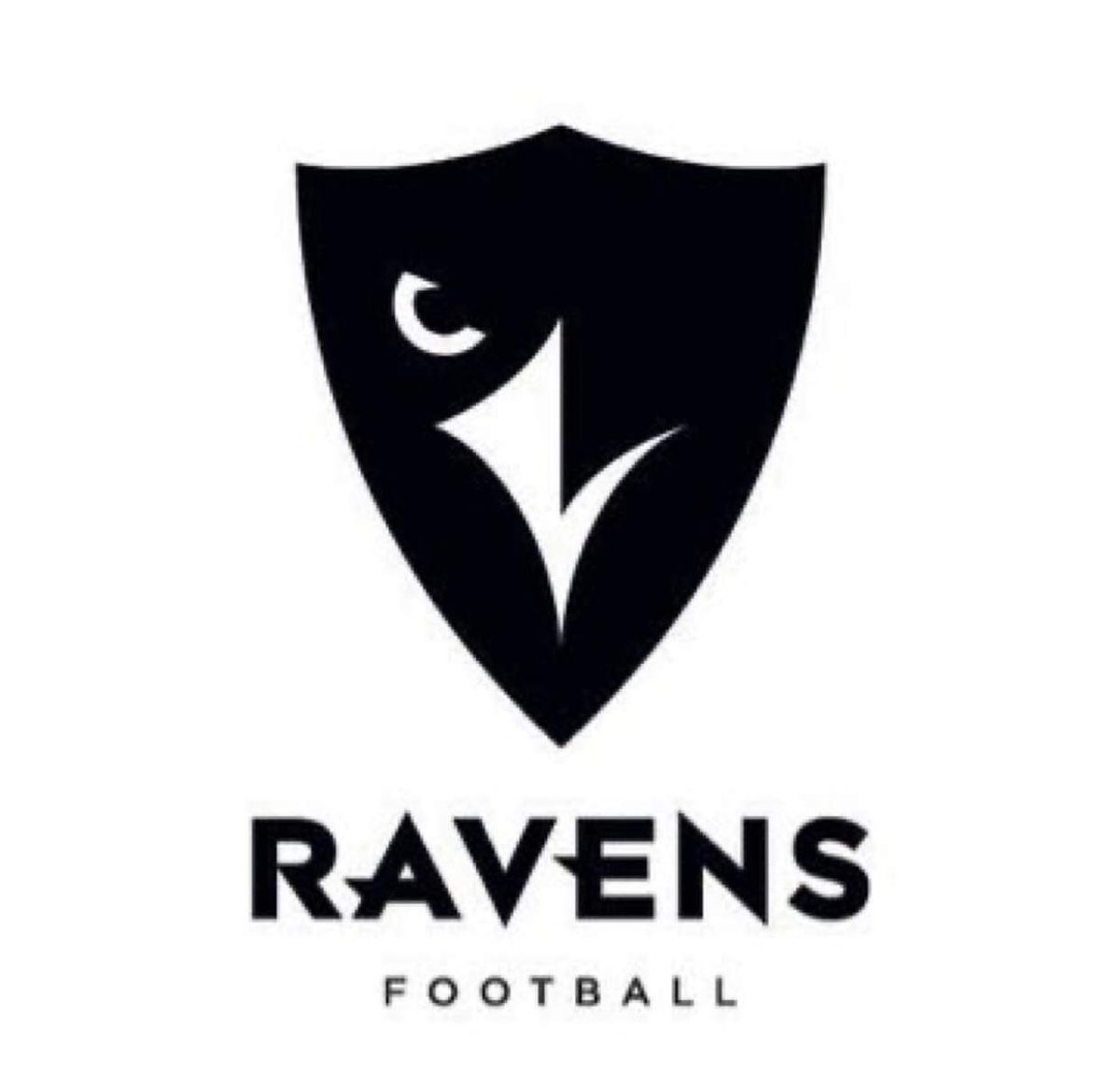 Cole_Presley_'s tweet photo. After a great visit, I am thankful to have received an official U Sports offer to play football and further my education at Carleton University. Thank you @C_Grant2, @CoachALothian, and @CURavensFB for the hospitality. https://t.co/kVpqeo3bOz