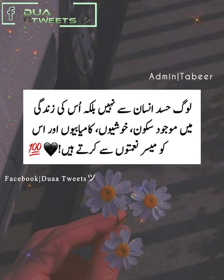 •"لوگ حسد انسان سے نہیں بلکہ اُس کی زندگی میں موجود سکون، خوشیوں، کامیابیوں اور اس کو میسر نعمتوں سے کرتے ہیں!🖤🍂💯"-