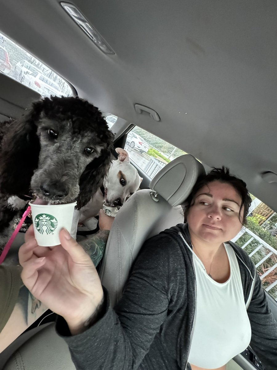 krazyjay366's tweet image. #forthedawgs#

Great show today boys!!! 

Also want to tell this amazing lady how much she means to me and how perfect she is! @vanessadickie 

$krazyjay36