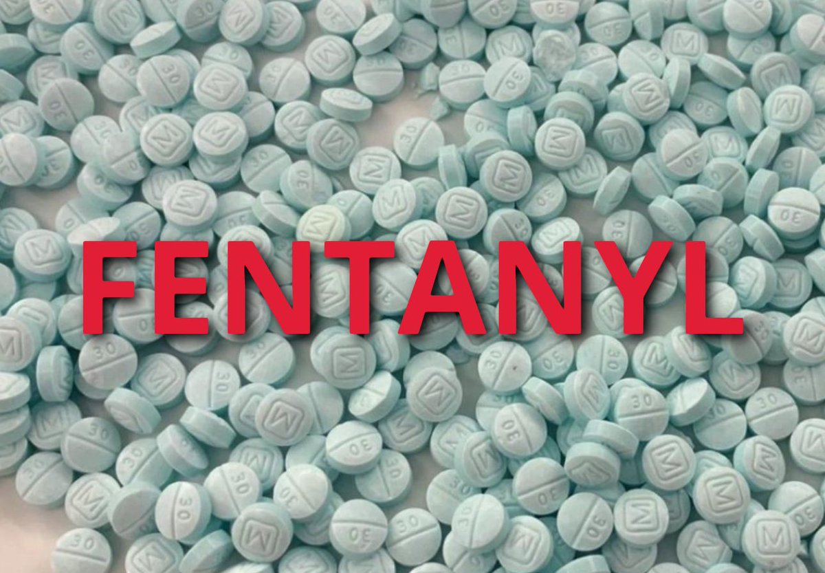 Beardvet's tweet image. The Supreme Court wants to kill us as much as the Biden regime does, our government has failed it’s sole purpose, providing protection for you and your Family #TaxationWithoutRepresentation