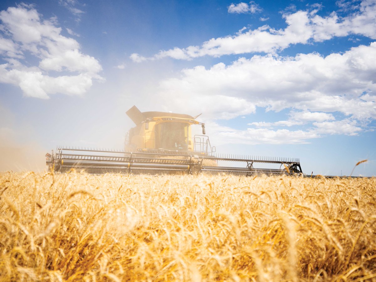 Is scheduling a combine inspection still on your winter maintenance to-do list?  📝

Let our certified techs take care of your inspection and any needed maintenance and be ready to go in 2024. Plus, receive a 12-month warranty on any dealer-installed parts.