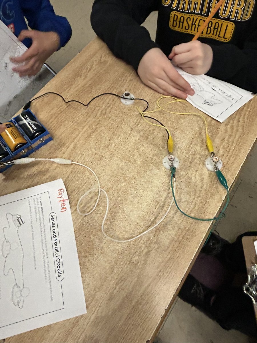 Today our future electricians constructed series and parallel circuits, and learned what happened to each when they unscrewed a bulb. #scienceisfun