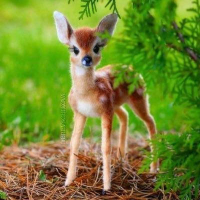 hilal güzel tweet media