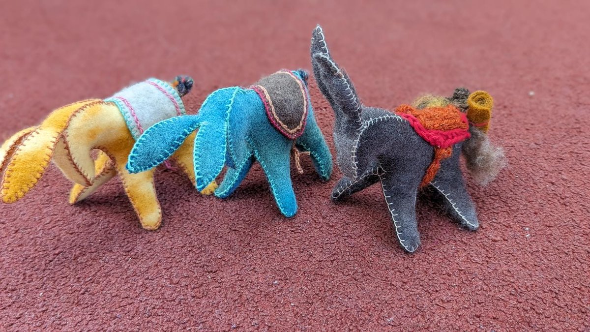 Glenaeon Rudolf Steiner School tweet media