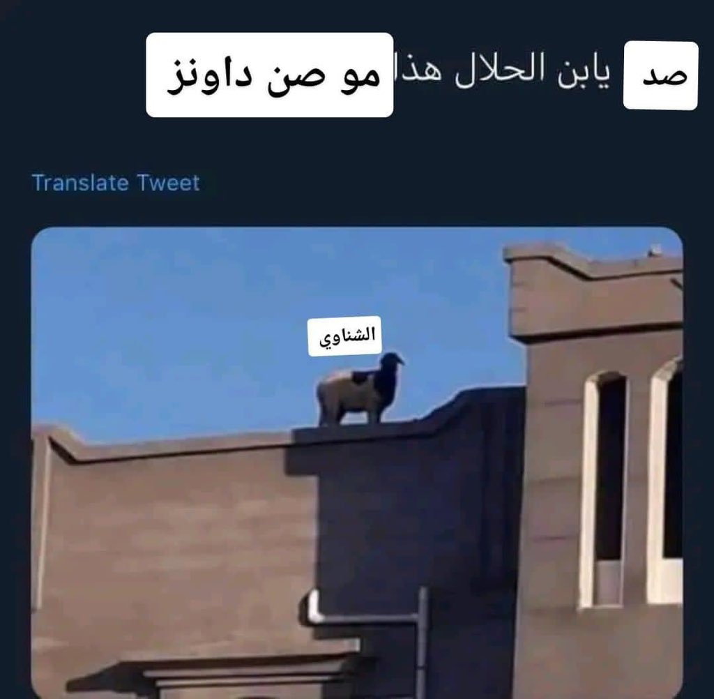 ليو (@azzaibrahimm) on Twitter photo 