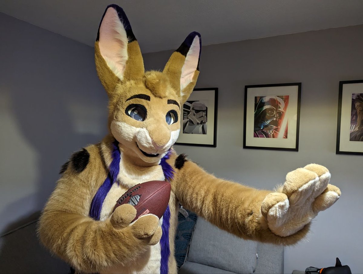bunzelbun's tweet photo. Hut Hut! The Super Bowl is nearly here! Hoping the Vikings will be there next year... 🙄 https://t.co/wrKBvhX6Q6