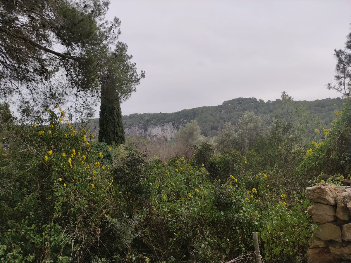 Sitg.es Info/Events☼ tweet media