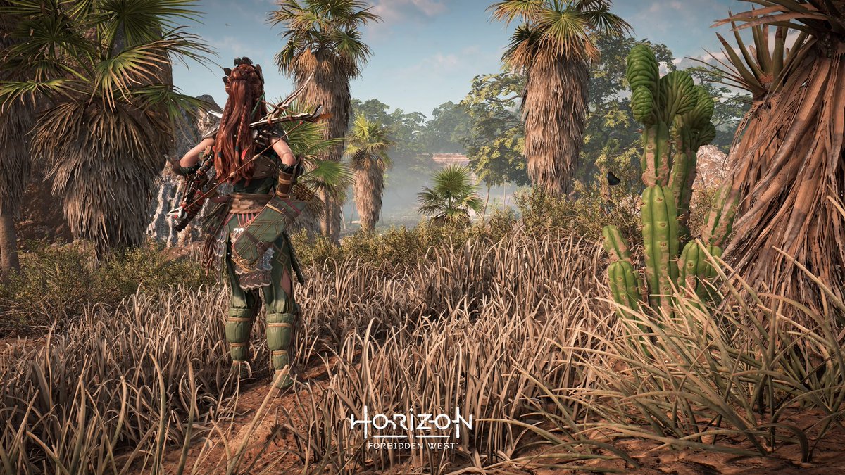 L0kii59's tweet photo. Toujours le plus beau jeu de la PS5.
#HorizonForbiddenWest https://t.co/DQqRH8cjnM