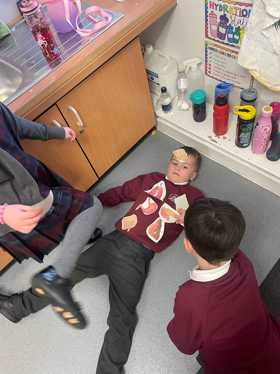 P2 have been learning about the human body. Today they enjoyed learning all about our organs and their purpose. They had lots of fun working together to place the organs in the correct place on each other 🫀🫁🧠 #teamannbank #p2 #ourbodies