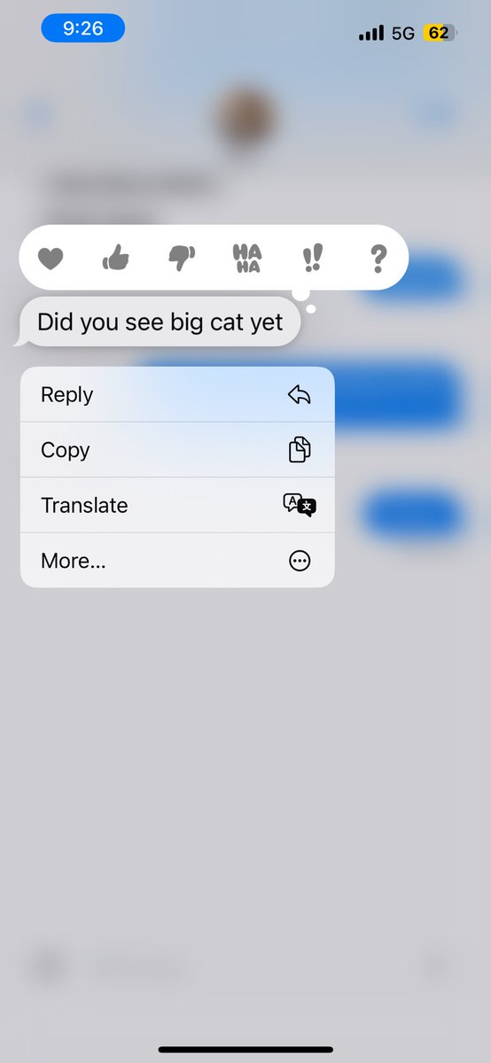 AbbyStaskiel's tweet photo. I have been in Chicago for 1.5 hours, and this is all my brother has to ask me: 

Priorities. @BarstoolBigCat https://t.co/mIArWAIz54