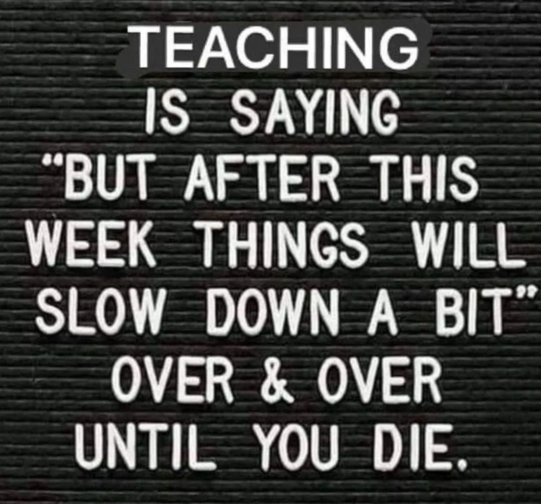 HelpATeacher's tweet photo. Accurate! 💯 https://t.co/Uo9PyhYuhn