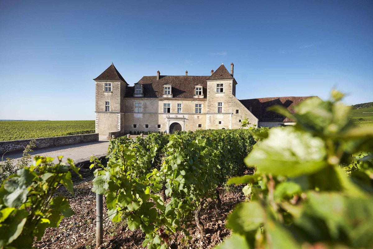 2022 Burgundy: Harmony born of an easy season // Our 2022 Burgundy en primeur coverage begins with a comprehensive overview of a vintage of 'super-charming' red and white wines. See link bit.ly/3SqMFSW #worldoffinewine #editorspick #Burgundy 📸: Sotheby’s