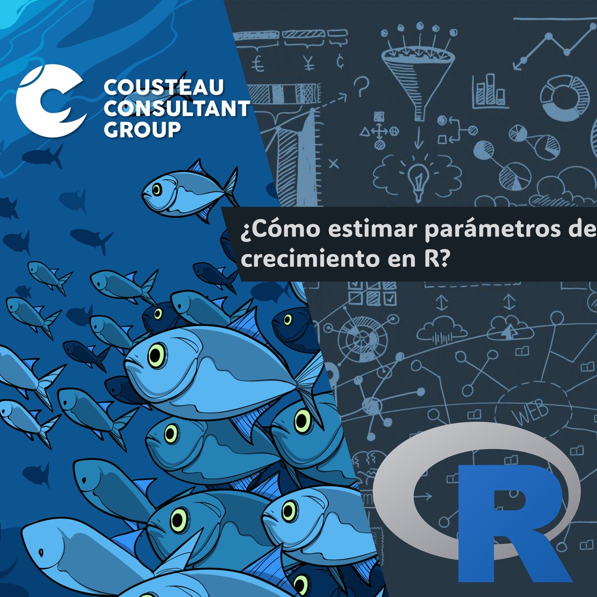 Cousteau Consultant Group tweet media