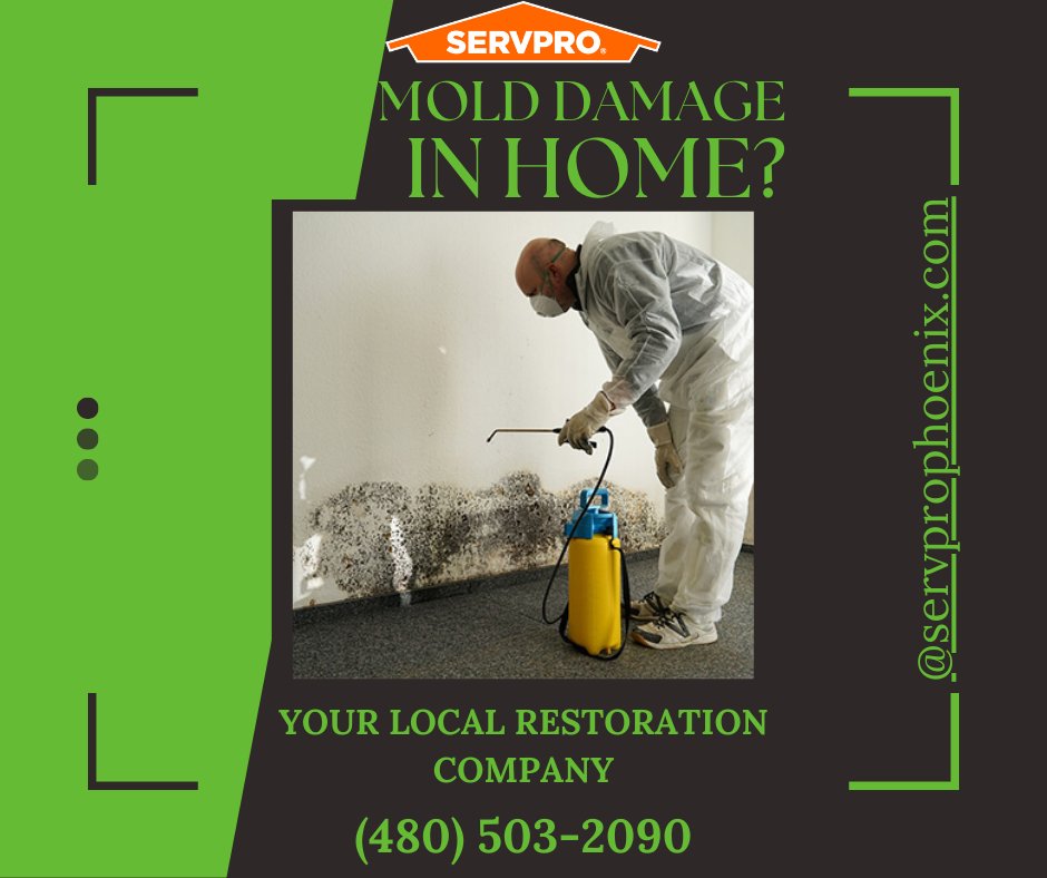 Why choose SERVPRO Team Phoenix? 

We are faster to any size disaster
We are highly trained mold remediation specialists
We use advanced mold remediation techniques and equipment

#moldremediation #SERVPROTeamPhoenix #restorationcompany