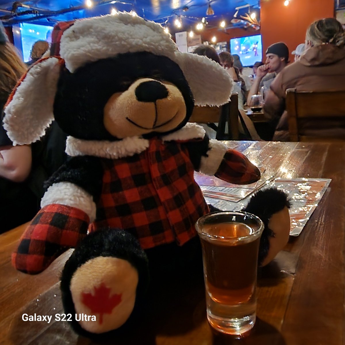 Got to hang with my birthday buddy Beary <a href="/sunpeaksgrand/">Sun Peaks Grand</a>