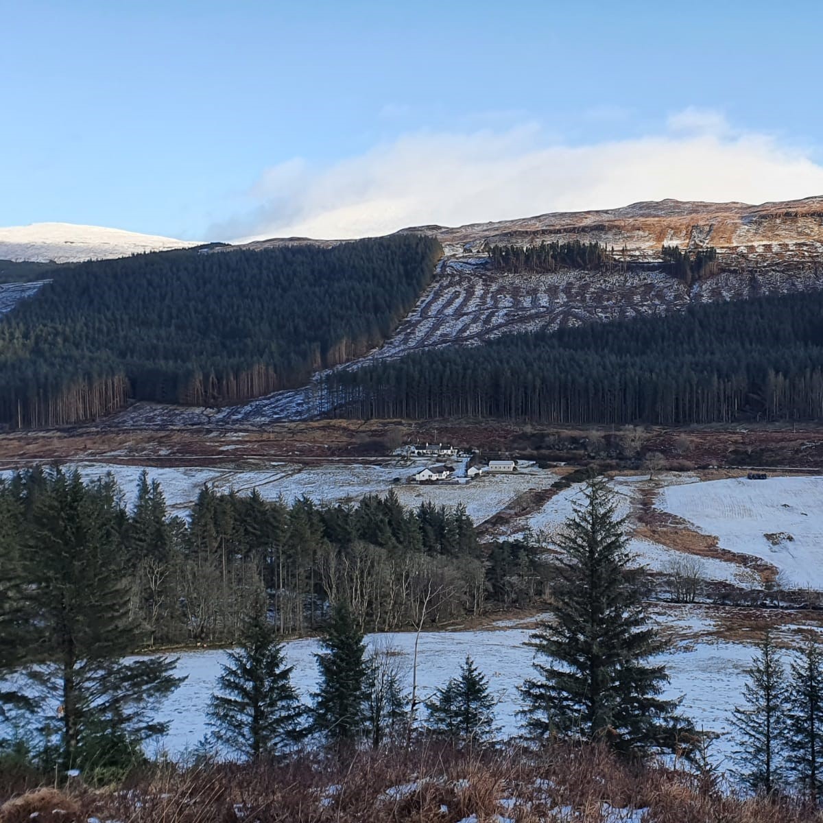 SWMID (@swmull_iona) on Twitter photo 2.5 years after submitting an application to the Crofting Commission, we are thrilled to announce the approval of 6 new woodland crofts in Tiroran Community Forest!
Watch this space....
bit.ly/SWMID_woodlandโฆ
#SWMID #growingforthefuture 2.5 years after submitting an application to the Crofting Commission, we are thrilled to announce the approval of 6 new woodland crofts in Tiroran Community Forest!
Watch this space....
bit.ly/SWMID_woodlandโฆ
#SWMID #growingforthefuture