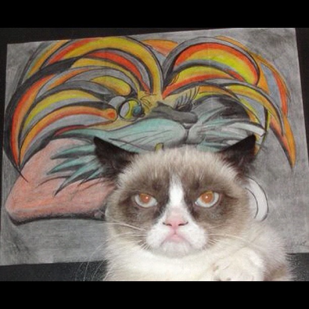 SCT Squad tweet media