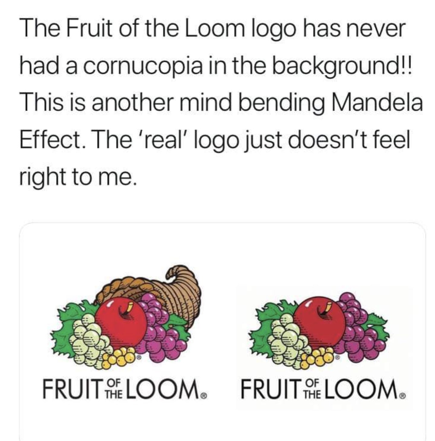 The Fruit of the Loom logo has never had a cornucopia in the background!!  This is another mind bending Mandela Effect. The 'real' logo just doesn't  feel right to me. FRUIT LOOM. 