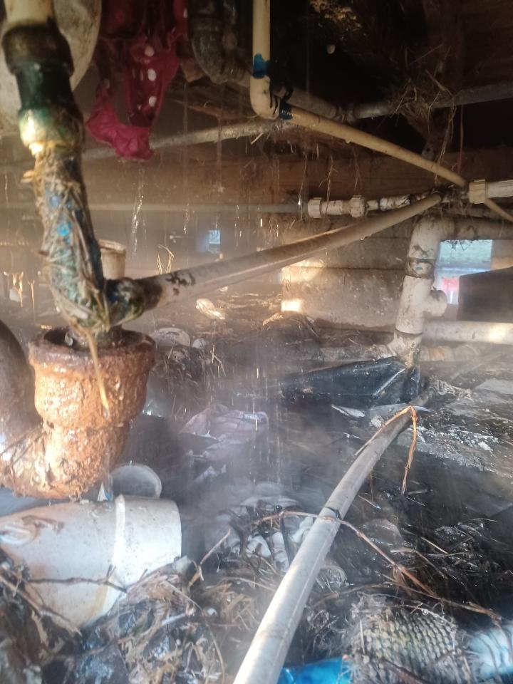 Sadly we are seeing many homes with no water after the freeze. #Waterislife Were gonna see deep freezes every year. pipe wrap is good but it is not enough. We need to replace old systems with PEX. #resilience Please donate! weststreetrecovery.org/donate