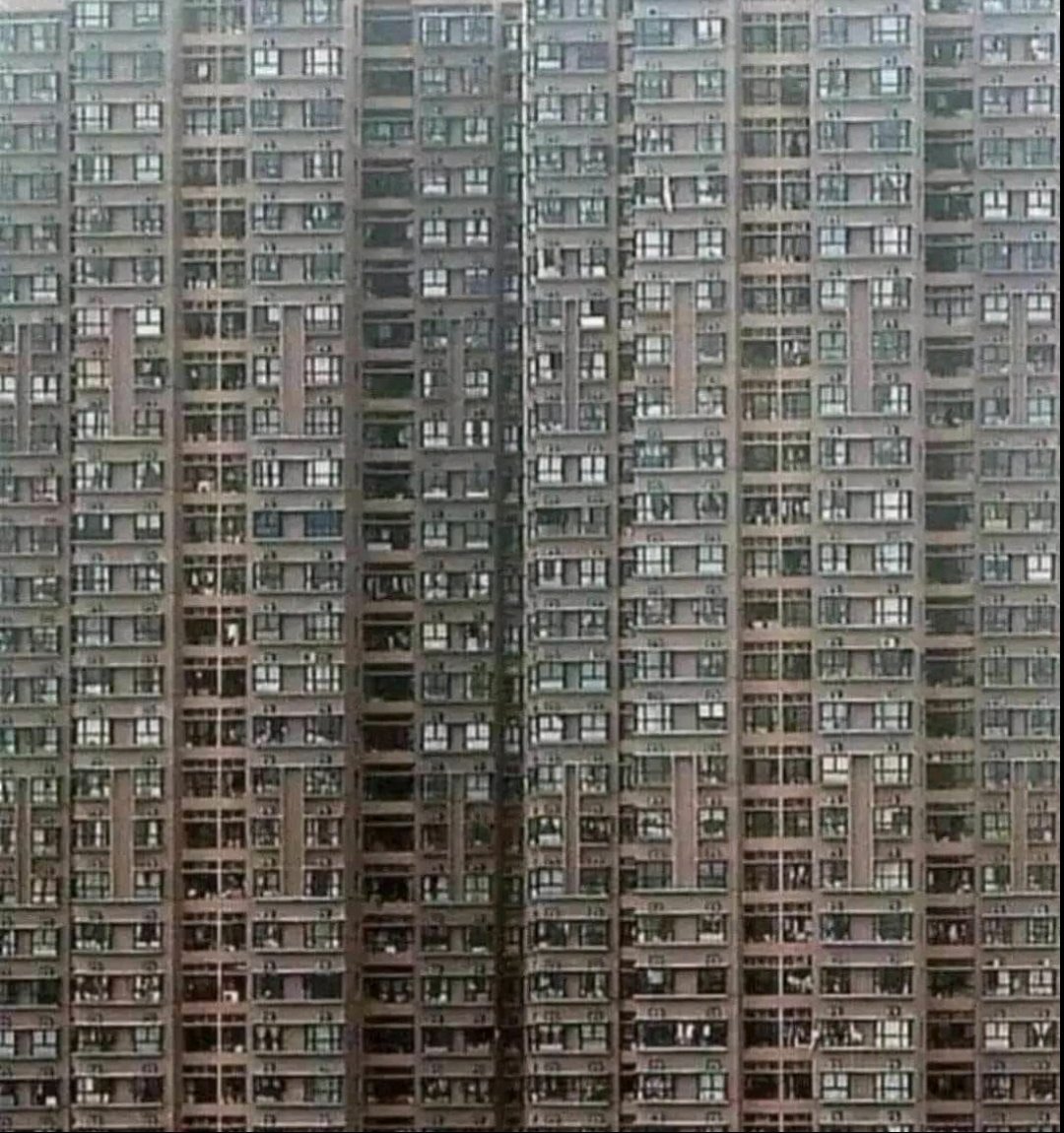 100leBgd's tweet photo. Zamisli viber grupu stanara ove zgrade, kad treba nesto bitno da se dogovore!
🤣🤣🤪🤪 https://t.co/DFoPeacNEn