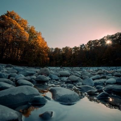 fikret bektaş tweet media