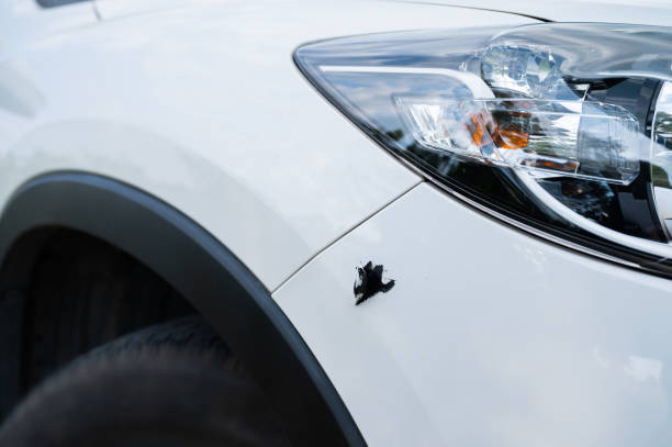 HoelzsBody's tweet image. Did you know even a minor collision can cause hidden damage to your vehicle's structure? At Hoelz's Body Shop Inc., we use the latest technology to identify any issues and provide you with a safe and reliable repair. #HiddenDamage