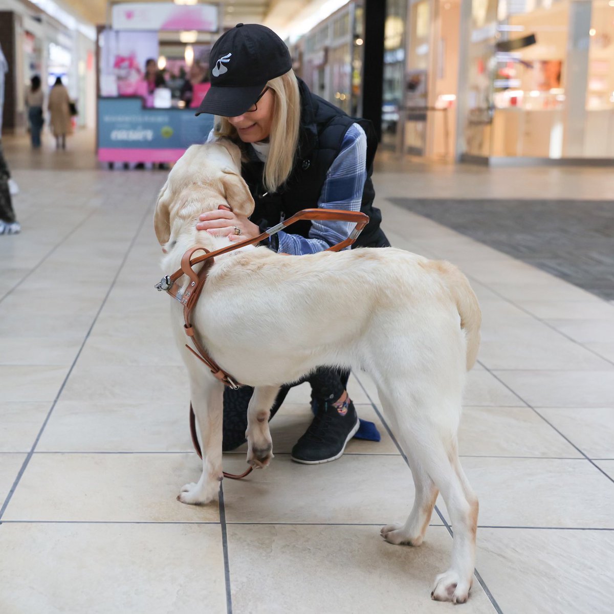 When someone who is legally blind has or low-vision is matched with their guide dog, an unbreakable bond is formed.  Join us in making a difference by visiting guidedog.org 💙🐾