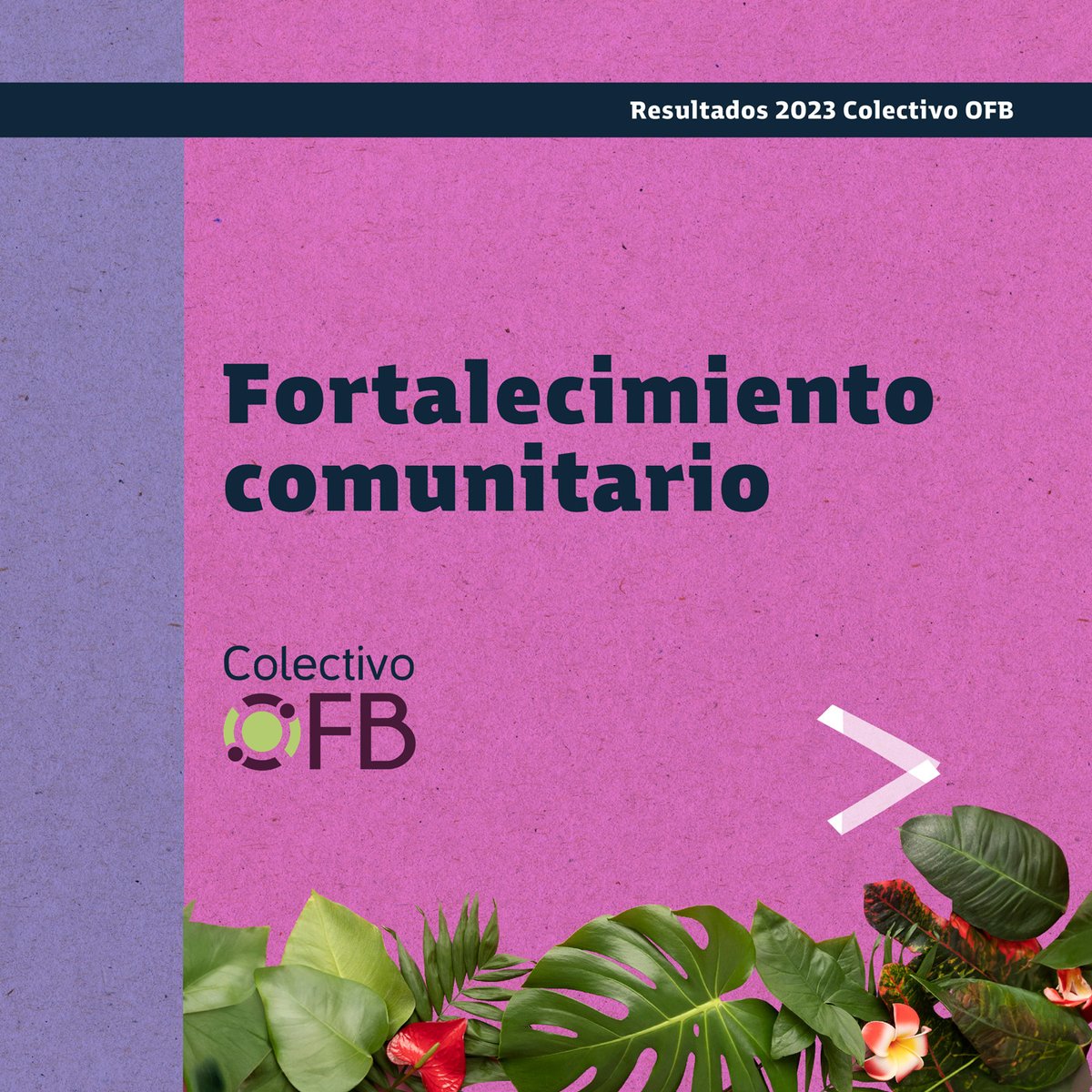 #ColectivoOFBComparte

✅Nuestro trabajo en la búsqueda y exigibilidad de derechos nos ha permitido apoyar a organizaciones y a comunidades donde llegamos con nuestro equipo.

Por eso, hoy presentamos nuestras acciones en el Fortalecimiento comunitario.