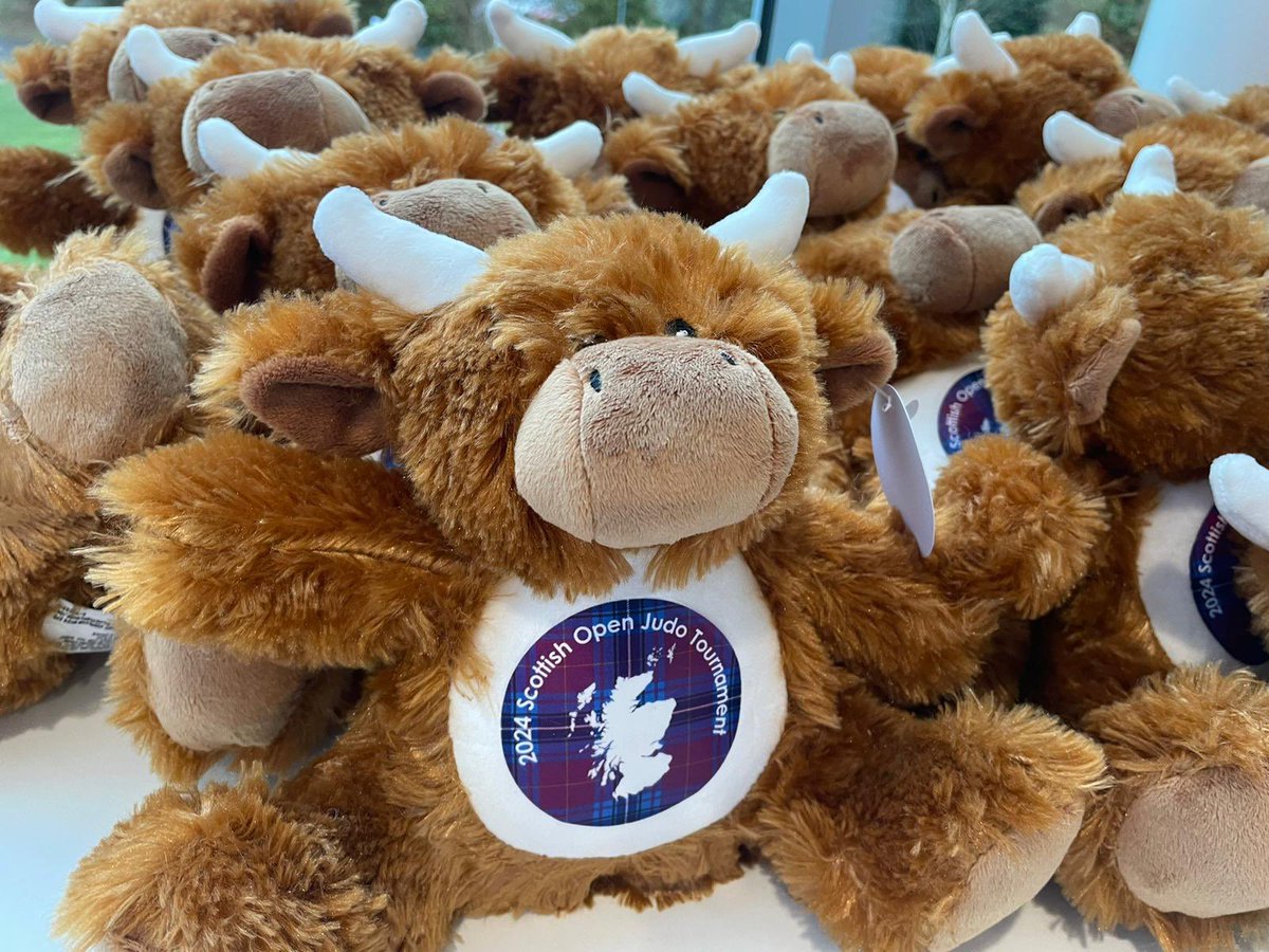 Judith McCleary tweet media