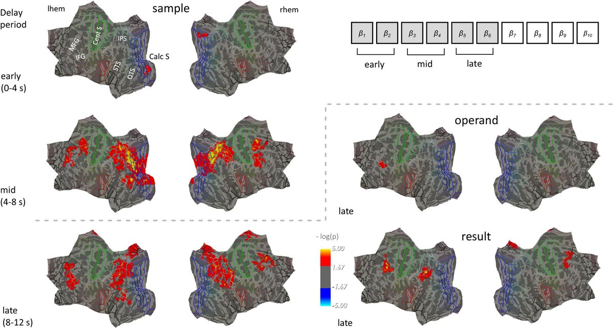 Evelyn Eger tweet media
