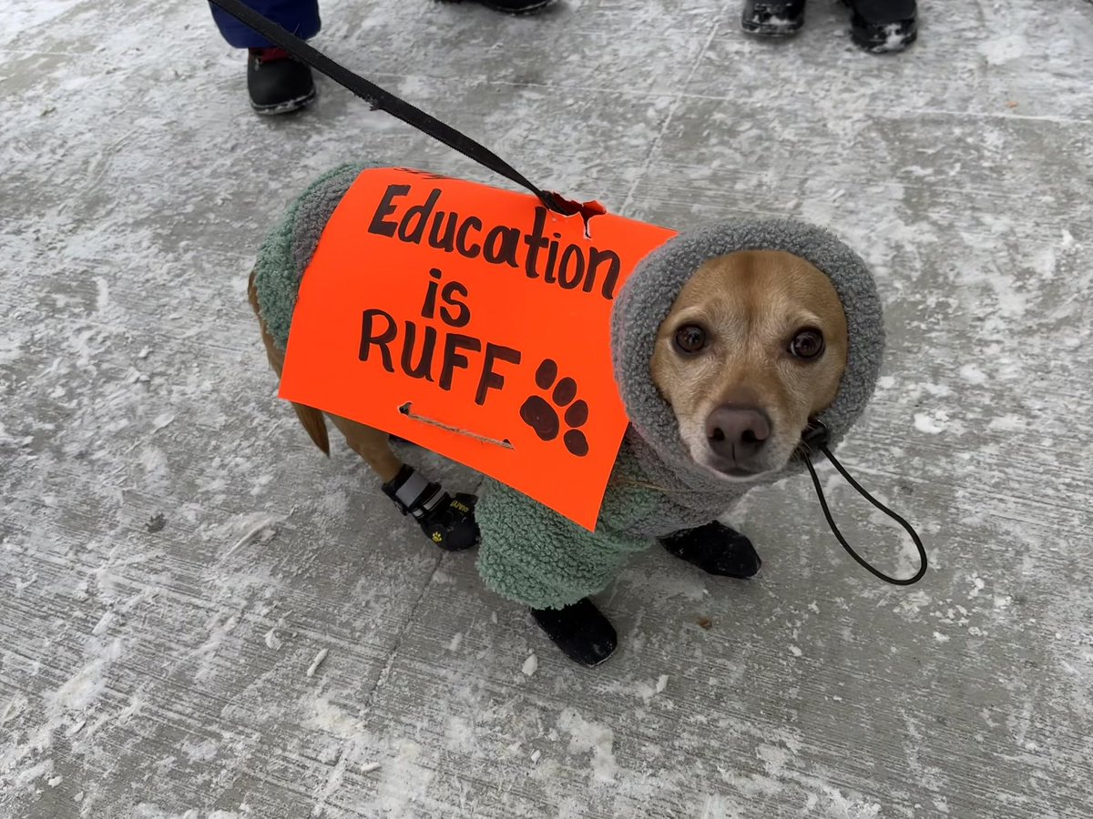 MissAChisholm's tweet photo. Messi stood his GRRROUND!  Time for @PremierScottMoe  to come AROUND!@SaskParty 

#iamSTF #bonestopick #pawthetic #thesqueakywheelgetsthetreat #itsadoggoneshame #gonetothedogs 
@SaskTeachersFed 
@RPSTA https://t.co/5dYsX7t4HX