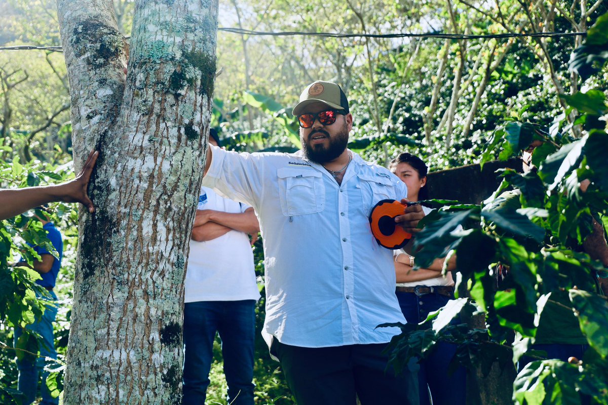 solidaridadMCA's tweet photo. El proyecto #ParaisoVerde🌱✨ financiado por @UEenHonduras se llevo acabo una capacitación al personal técnico de #FundacionMAS y @Swisscontact de la herramienta #CoolFarmTool para la medición de huella de carbono en la cadena productiva del café. ☕️✨ https://t.co/xiVvi5e6x4 https://t.co/HNCXk9xXwS