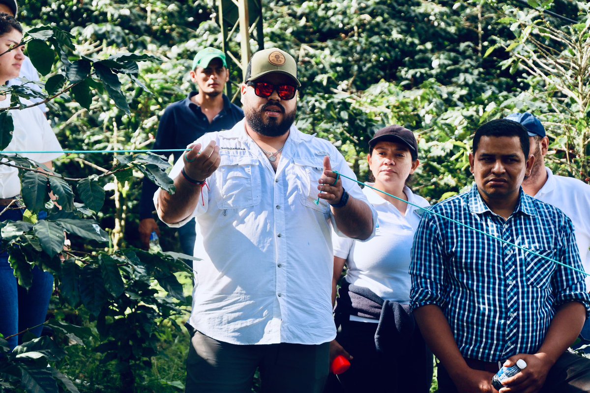 solidaridadMCA's tweet photo. El proyecto #ParaisoVerde🌱✨ financiado por @UEenHonduras se llevo acabo una capacitación al personal técnico de #FundacionMAS y @Swisscontact de la herramienta #CoolFarmTool para la medición de huella de carbono en la cadena productiva del café. ☕️✨ https://t.co/xiVvi5e6x4 https://t.co/HNCXk9xXwS