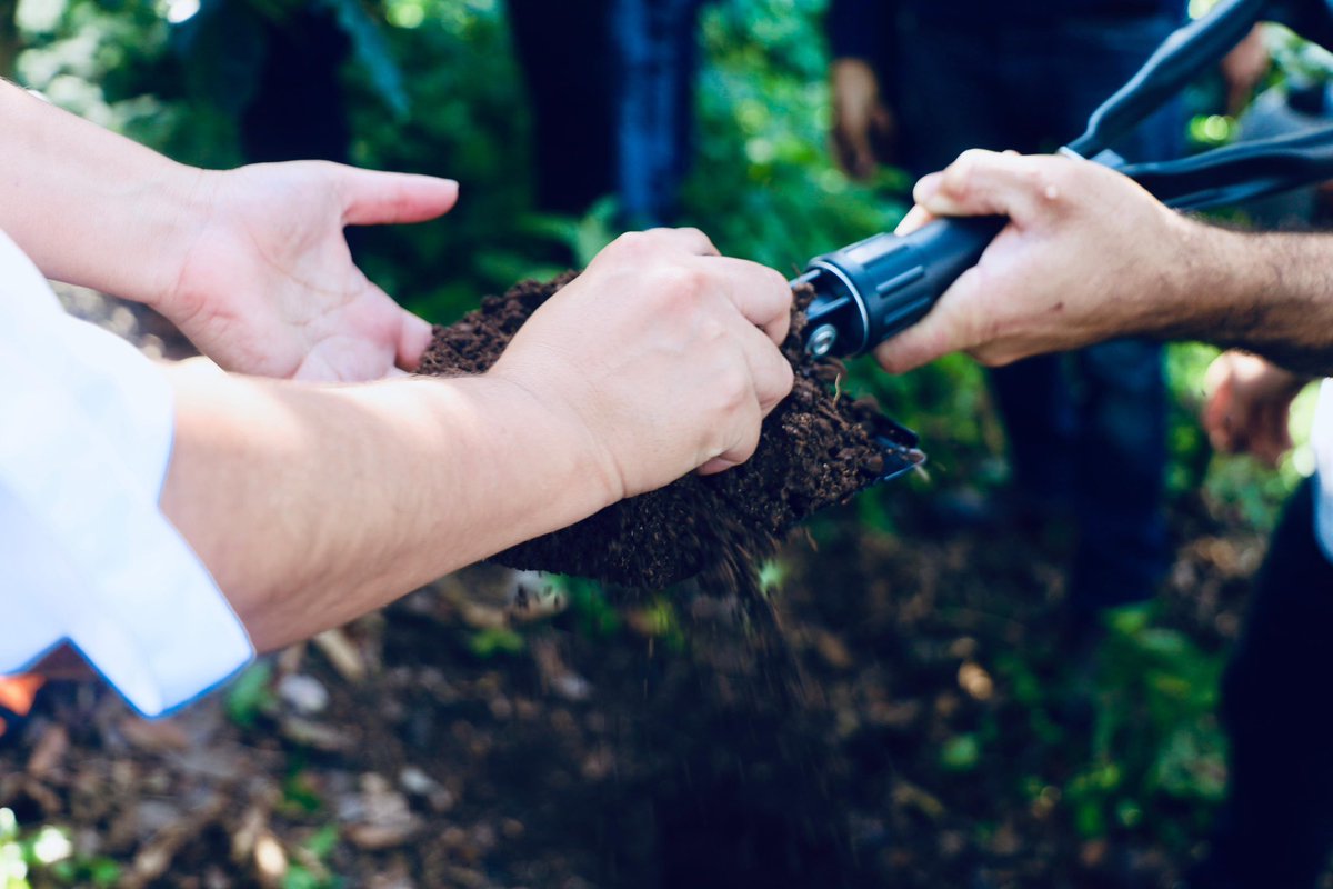 solidaridadMCA's tweet photo. El proyecto #ParaisoVerde🌱✨ financiado por @UEenHonduras se llevo acabo una capacitación al personal técnico de #FundacionMAS y @Swisscontact de la herramienta #CoolFarmTool para la medición de huella de carbono en la cadena productiva del café. ☕️✨ https://t.co/xiVvi5e6x4 https://t.co/HNCXk9xXwS