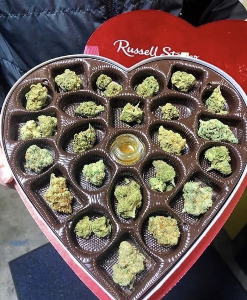 Valentine’s Day is coming up… 👀💚

#StonerFam #Mmemberville