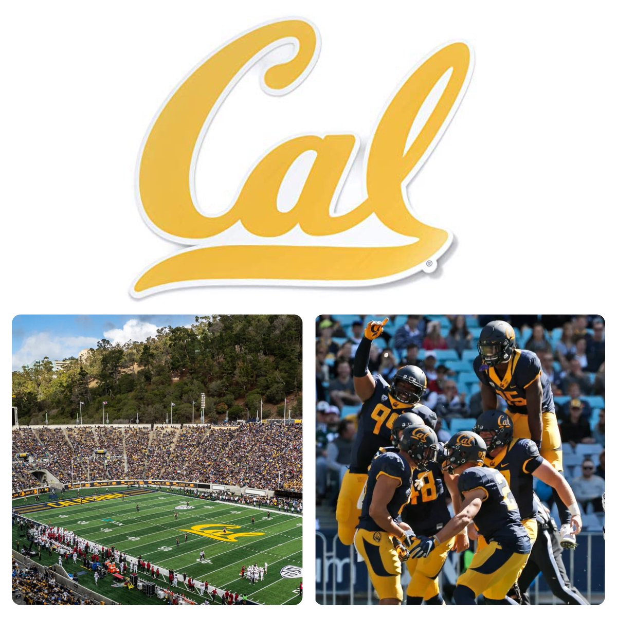 Taani Makasini (@taanimakasini) on Twitter photo After a great conversation with <a href="/Coach_Sooto/">Vic So'oto</a> I am blessed and thankful to say that I have received on offer from the University of California Berkeley. Thankyou!
<a href="/ssj_faamalosi/">𝕮𝖔𝖆𝖈𝖍 𝕵𝖗𝖆𝖞</a> <a href="/CoachTyusMoe/">Tyus Moe</a> <a href="/T_BirdFootball/">Timpview Football</a> <a href="/CalFootball/">Cal Football</a> <a href="/BrandonHuffman/">Brandon Huffman</a> <a href="/BlairAngulo/">Blair Angulo</a> <a href="/DonnyAtuaia/">Donny Atuaia</a> After a great conversation with <a href="/Coach_Sooto/">Vic So'oto</a> I am blessed and thankful to say that I have received on offer from the University of California Berkeley. Thankyou!
<a href="/ssj_faamalosi/">𝕮𝖔𝖆𝖈𝖍 𝕵𝖗𝖆𝖞</a> <a href="/CoachTyusMoe/">Tyus Moe</a> <a href="/T_BirdFootball/">Timpview Football</a> <a href="/CalFootball/">Cal Football</a> <a href="/BrandonHuffman/">Brandon Huffman</a> <a href="/BlairAngulo/">Blair Angulo</a> <a href="/DonnyAtuaia/">Donny Atuaia</a>