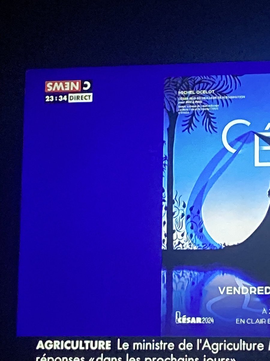 #cnews le retour du stagiaire…