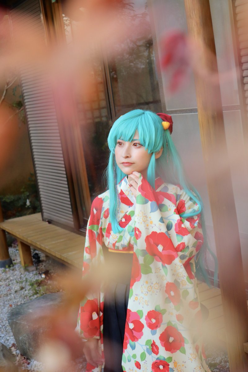 鳥まみ🐤 tweet media