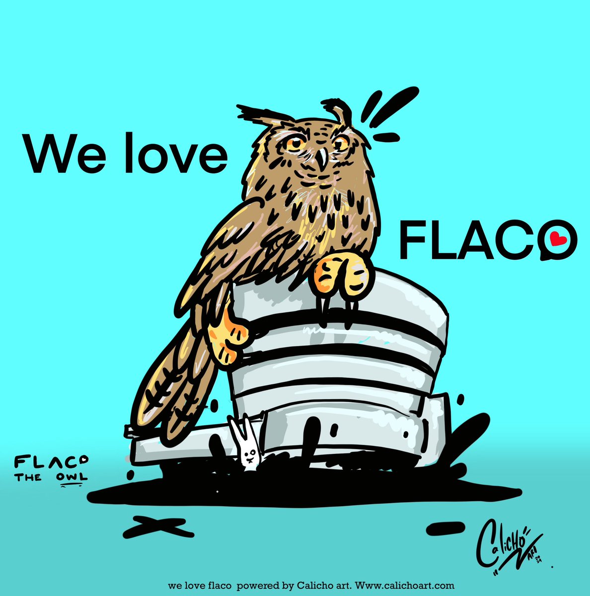 Getting closer to @flaco_theowl anniversary of being free. I’m committing to make an illustration daily of him on this January. @BirdCentralPark @NewYorker @nytimes @GMA @Guggenheim #birdcpp #flacotheowl #nyc #nyfw