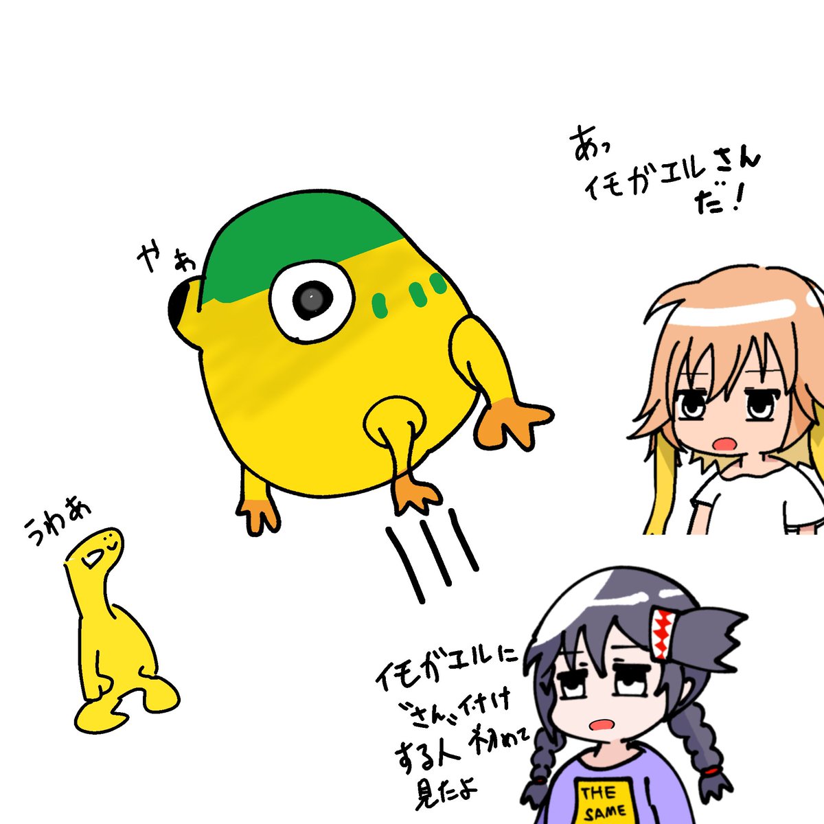 二宮飛鳥 イモガエル