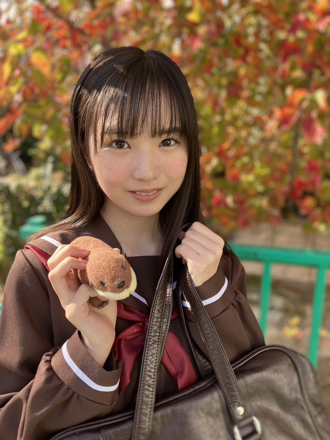 僕が見たかった青空 僕青 安納蒼衣 タワレコパネル 当選品 61btlnoZtBL._UF350,350_QL50_.jpg