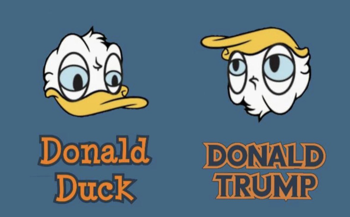 Donald tweet media