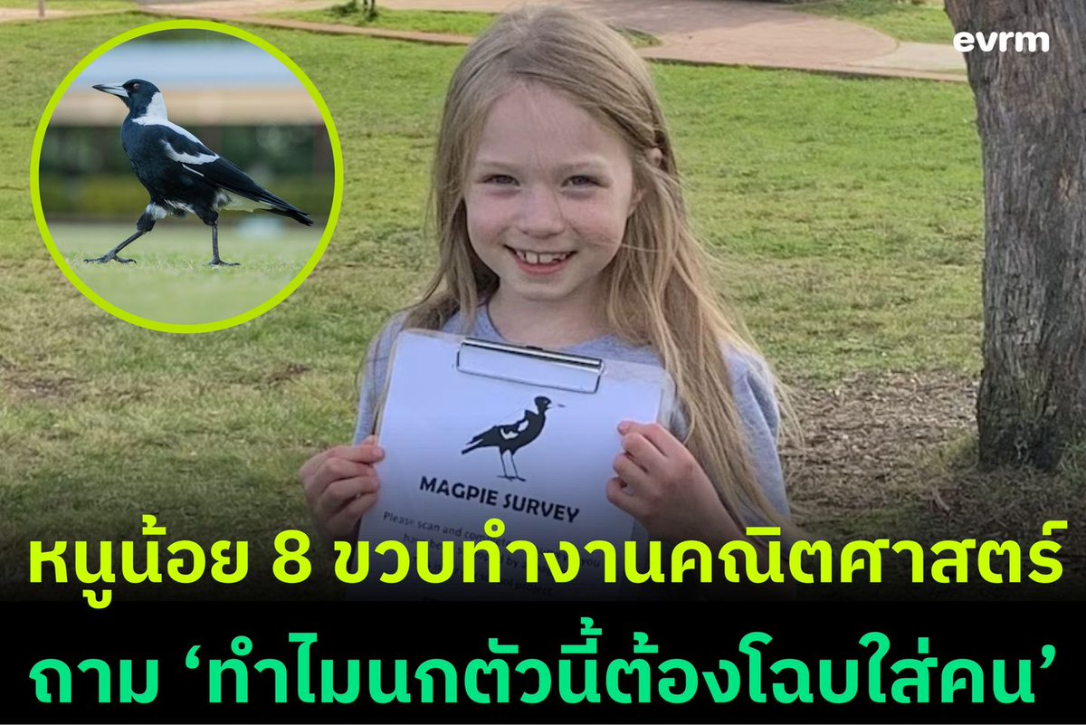 environmanth's tweet photo. หนูน้อยวัย 8 ขวบทำโครงการคณิตศาสตร์ตอบคำถามที่นักวิทยาศาสตร์มืออาชีพอาจมองข้ามไป “ทำไมนกสาลิกาปากกำออสเตรเลียถึงโฉบโจมตี?” พร้อมเตรียมตีพิมพ์ผลงานวิจัยแล้วในตอนนี้

เราอาจเคยได้ยินสัตว์ร้ายต่าง ๆ นานาในออสเตรเลียทั้งแมงมุมที่มีพิษรุนแรงที่สุดใน งูดุร้าย หรือแม้แต่จิงโจ้กล้ามโต แน่นอนว่ามันอันตรายจริง ๆ แต่ตามสถิติแล้วมีคนถูกโจมตีจากสัตว์เหล่านี้น้อยมาก แต่สิ่งหนึ่งที่ชาวออสเตรเลียโดนบ่อยที่สุดคือสัตว์ป่าที่ชื่อว่า ‘นกสาลิกาดำออสเตรเลีย’ (Australian Magpies)

“เขาอยู่ที่โรงเรียนมานานแล้ว และเขาก็โฉบใส่พ่อทุกคนด้วย” Emma Glenfield หนูน้อยวัย 8 ขวบจากโรงเรียน Blue Mountains บอก โดยที่ รร. แห่งนี้มีนกสาลิกาปากดำตัวหนึ่งที่ได้เจอหน้ากันบ่อย ๆ ชื่อว่า ‘คุณสวูปซาลอต’ (Mr. Swoopsalot)

Emma สังเกตเห็นว่าคุณสวูปซาลอตไม่ได้สุ่มเป้าหมาย เธอคิดว่ามันจะต้องมีปัจจัยบางอย่างเกี่ยวกับเรื่องนี้แน่นอน คุณครูเลยสนับสนุนให้หนูน้อยลองทำงานวิจัยเป็นโครงงานในวิชาคณิตศาสตร์ที่ Emma ชอบ ด้วยความช่วยเหลือคุณแม่ Kristy Glenfield ทั้งคู่ได้สร้างแบบสำรวจที่มี QR โค้ดให้ตอบคำถาม

การสำรวจดังกล่าวได้รับความสนใจอย่างรวดเร็วโดยมีผู้ตอบคำถามถึง 31,432 คน ซึ่งเป็นกลุ่มตัวอย่างที่ใหญ่มากแม้แต่ในงานวิจัยของนักวิทยาศาสตร์จริง ๆ ก็ตาม และผลลัพธ์ที่ได้นั้นก็น่าสนใจไม่ใช่น้อย

หนูน้อยพบว่าปัจจัยเสี่ยงที่สุดคือ ‘ผู้ชายที่หัวล้าน’ โดยมีโอกาสเสี่ยงมากกว่าคนที่มีทรงผมแบบอื่น ๆ ถึง 2 เท่า (ทรงผมแบบอื่น 15% - หัวล้าน 30%) ขณะที่ปัจจัยอื่น ๆ ได้แก่ความสูง คนที่สูงกว่า 183 ซม.ซึ่งเสี่ยงที่จะถูกโจมตีสูงขึ้น 2 เท่าเช่นกันเมื่อเทียบกับคนที่สูงน้อยกว่า 160 ซม. ปัจจัยทั้งหมดนี้ทำให้ผู้ชายเสี่ยงกว่าผู้หญิงอย่างแน่นอน

Emma บอกว่าความสูงและหัวล้านนั้นเป็นปัจจัยที่โดดเด่นในโรงเรียนประถม และความโดดเด่นนั้นอาจสะดุดตาเข้ากับคุณสวูปซาลอต ศาสตราจารย์ Darryl Jones จากมหาวิทยาลัยกริฟฟิธ บอกว่านี่เป็นครั้งแรกเลยที่มีคนตรวจสอบความเชื่อมโยงระหว่างปัจจัยเหล่านี้

และตอนนี้ทั้งศาสตราจารย์ Jones กับหนูน้อย Emma กำลังรวบรวมข้อมูลทั้งหมดเข้าด้วยกันเพื่อตีพิมพ์รายงานทางวิทยาศาสตร์ Jones เป็นคนช่วยสอนการทบทวนวรรณกรรมและกระบวนการต่าง ๆ แต่การจัดลำดับวามสำคัญของคำถามในการวิเคราะห์เป็นการตัดสินใจของ Emma

“การทำแบบสำรวจนี้สนุกมาก หนูประหลาดใจมากที่มีคนมากมายอยากพูดคุยเกี่ยวกับนกสาลิกาปากดำและมีส่วนร่วม หนูหวังว่าโครงการของหนูจะช่วยให้ผู้คนเข้าใจนกชนิดนี้ได้ดีขึ้น และผู้คนจะเข้าใจว่าพ่อนกนกสาลิกาปากดำแค่ดูแลลูก ๆ ของพวกเขาเท่านั้น” Emma บอก

“หากคุณใช้เวลาทำความรู้จักกับนกสาลิกาปากดำก่อนเริ่มฤดูกาล พวกเขาจะเรียนรู้ว่าคุณไม่เป็นอันตราย แต่เป็นเพื่อนของพวกเขา และขอขอบคุณสำหรับความช่วยเหลือของคุณ"

ท้ายที่สุด Emma บอกอีกว่าเธอไม่เคยใช้ Exel หรือโปรแกรมทางสถิติเลยในการคำนวณ เธอชอบเลโก้มากกว่า และมันก็ช่วยให้เห็นข้อมูลได้อย่างชัดเจน “พวกเขาเข้าใจจริง ๆ ว่าคำถามนั้นมีสีแดงมากกว่าสีน้ำเงิน” Kristy คุณแม่ของ Emma บอก

บางที Microsoft อาจต้องลองสี ๆ บ้างนะ

ที่มา
- reddit
- iflscience
- abc
Photo : Emma Glenfield, wirestock/Envato