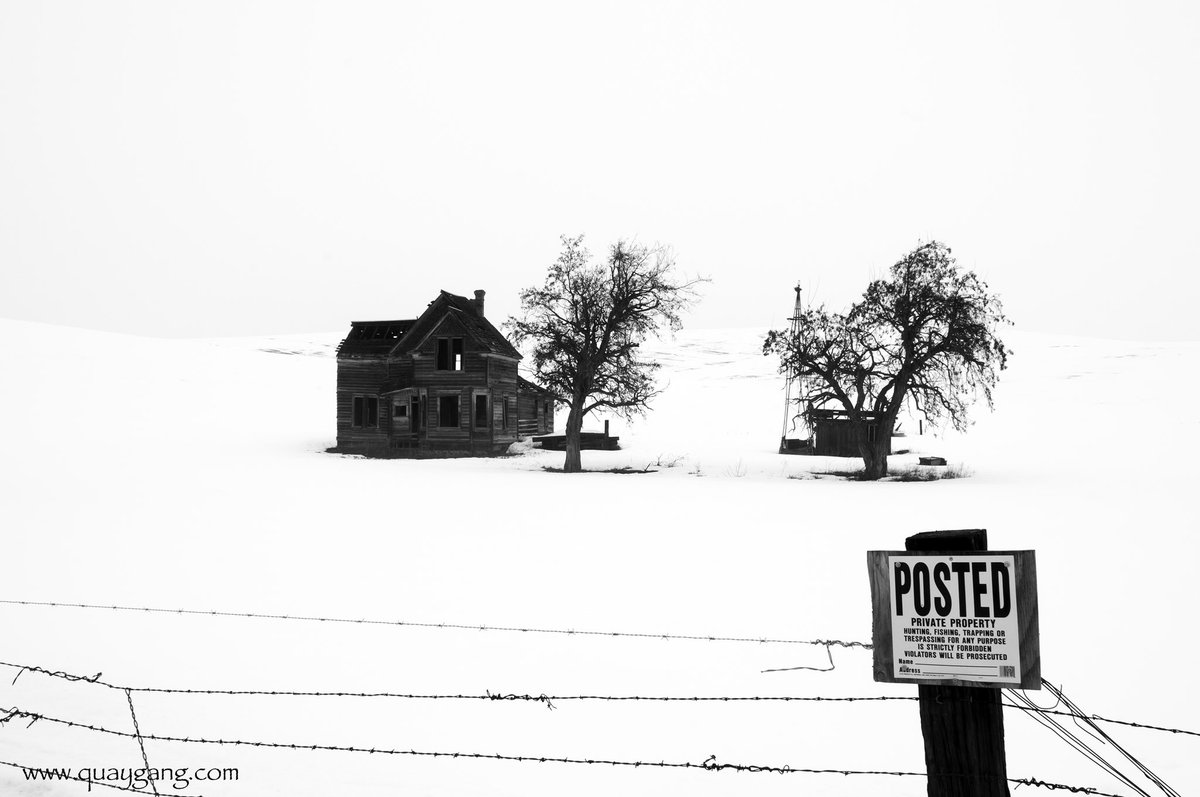 quaygang's tweet photo. “The Charles Nelson House, Winter 2017.”

©2017 Gary L. Quay

Camera: Nikon D300
Lens: Vintage 35mm Nikkor

#nikon #pacificnorthwest #garyquay #outdoors #oregon #viewfromhere #charlesnelsonhouse #thedalles #winter #photography #rural https://t.co/Rwr7evQ7Ly